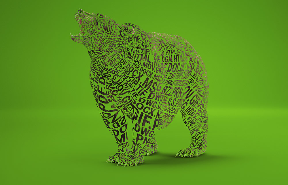 Nasuni Beasts- Bear