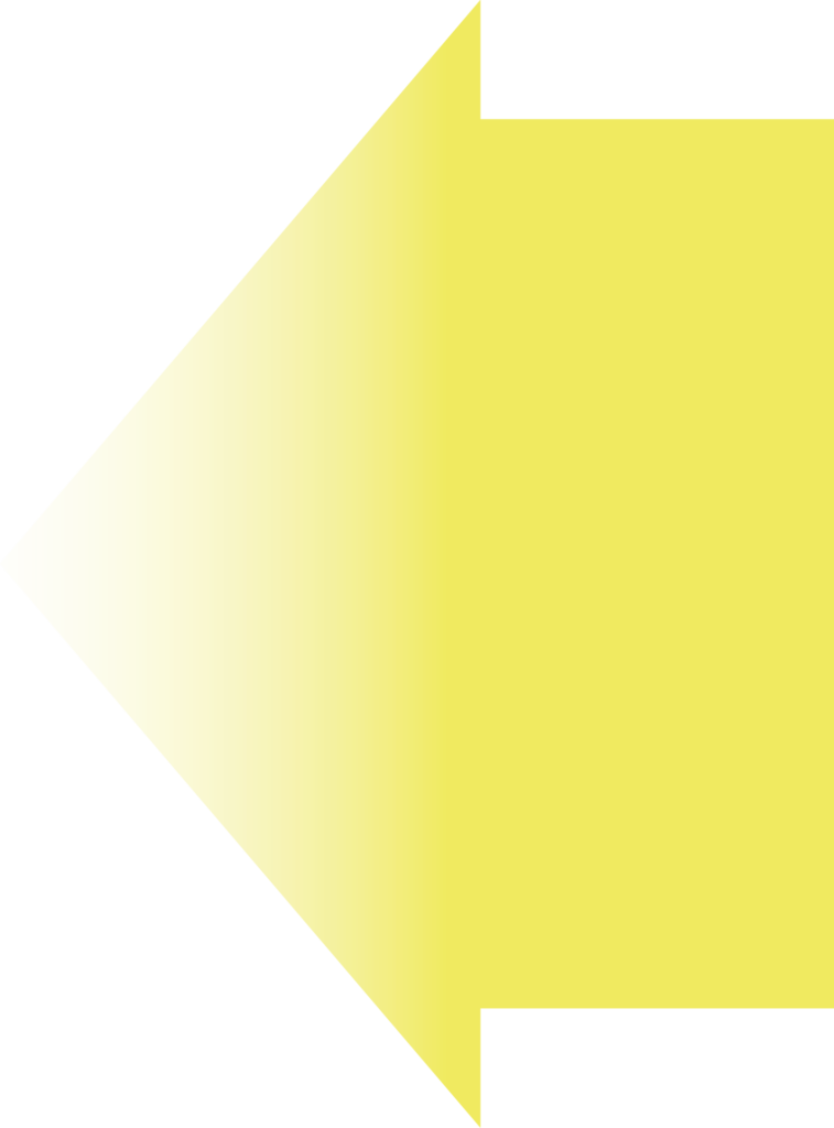 Data Arrow - Left