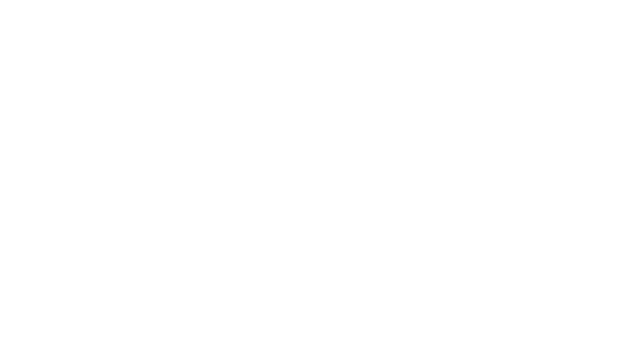 logos_0001_Advance-Auto-Parts
