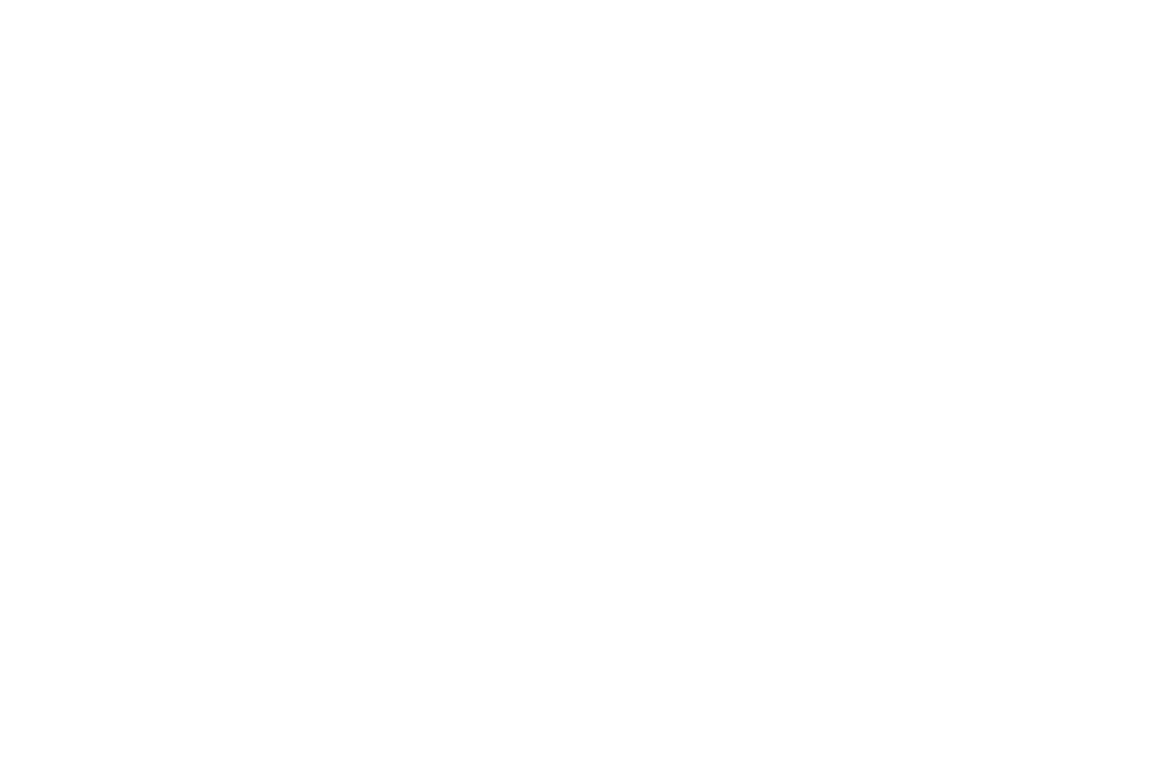 Lockup for tagline: see tomorrow, seize today.