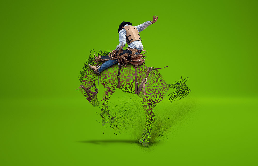 Nasuni Beasts - Bronco