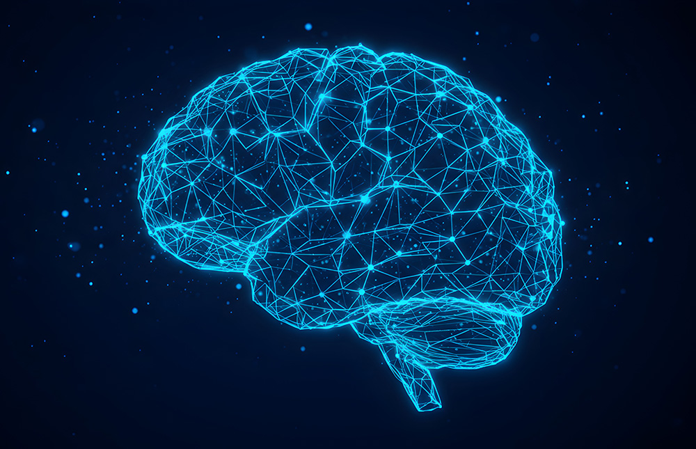 Image of Brain, Behavioral Science