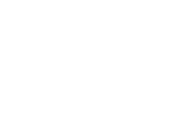 Logo for Advance Auto Parts